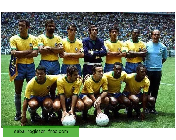 世界杯竞猜赔率平台分析与预测，助你赢得更多精彩投注机会